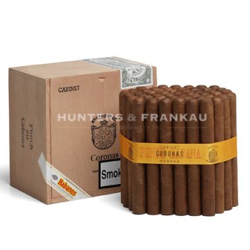 Punch Coronas - Pack of 50